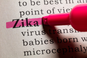 Zika Update Pediatrician Hudson Valley