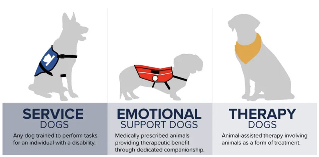 Service Animal Policy